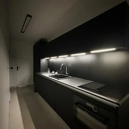 Design Elegant Lejlighed